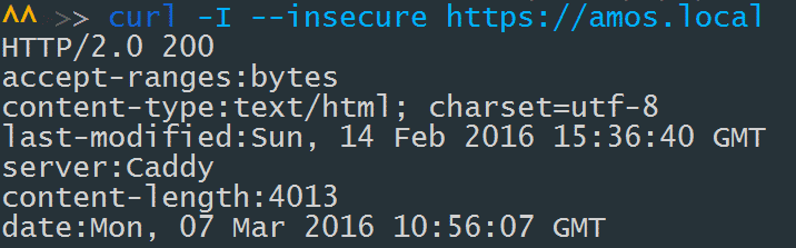 HTTP2.0 on localhost with Caddy